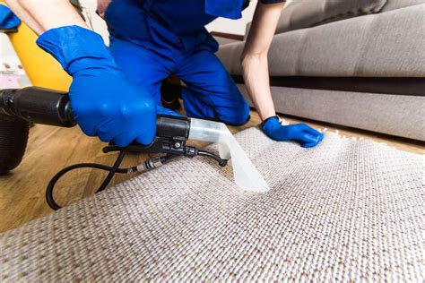 House carpet cleaning - The cost to professionally clean carpets is $181 on average, but it can cost between $123 and $241 , even higher if you have particular stains or a lot of ...